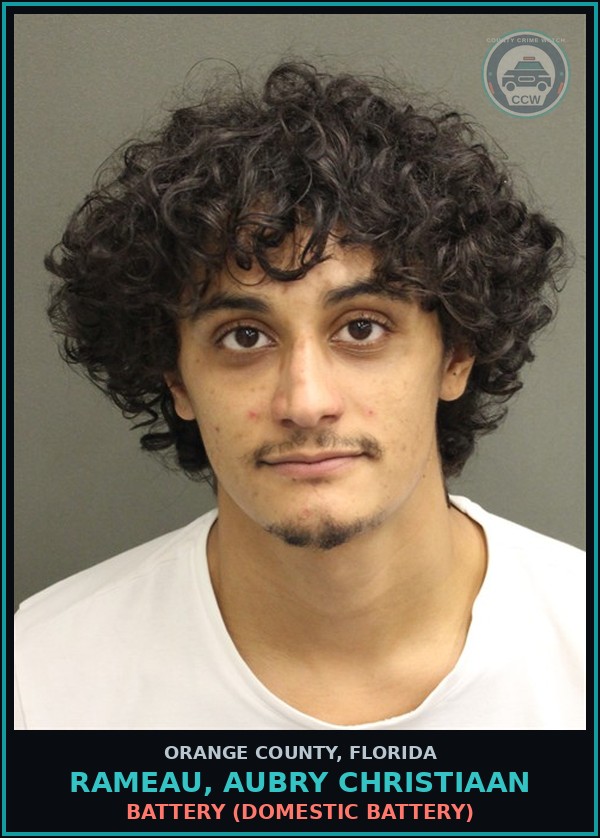 Booking mugshot of RAMEAU, AUBRY CHRISTIAAN in Orange County