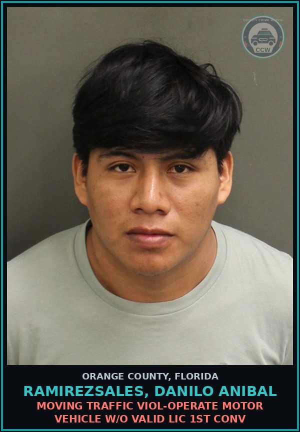 Booking mugshot of RAMIREZSALES, DANILO ANIBAL in Orange County