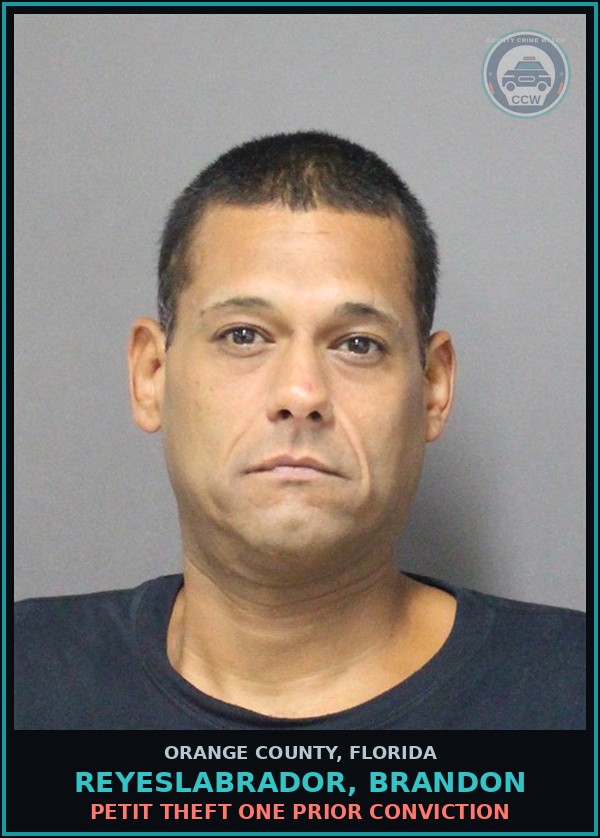Booking mugshot of REYESLABRADOR, BRANDON in Orange County
