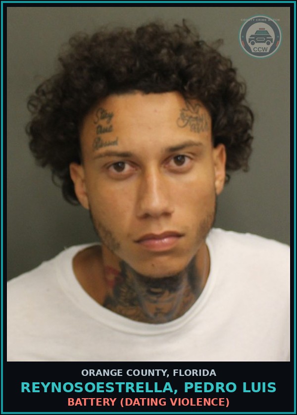 Booking mugshot of REYNOSOESTRELLA, PEDRO LUIS in Orange County