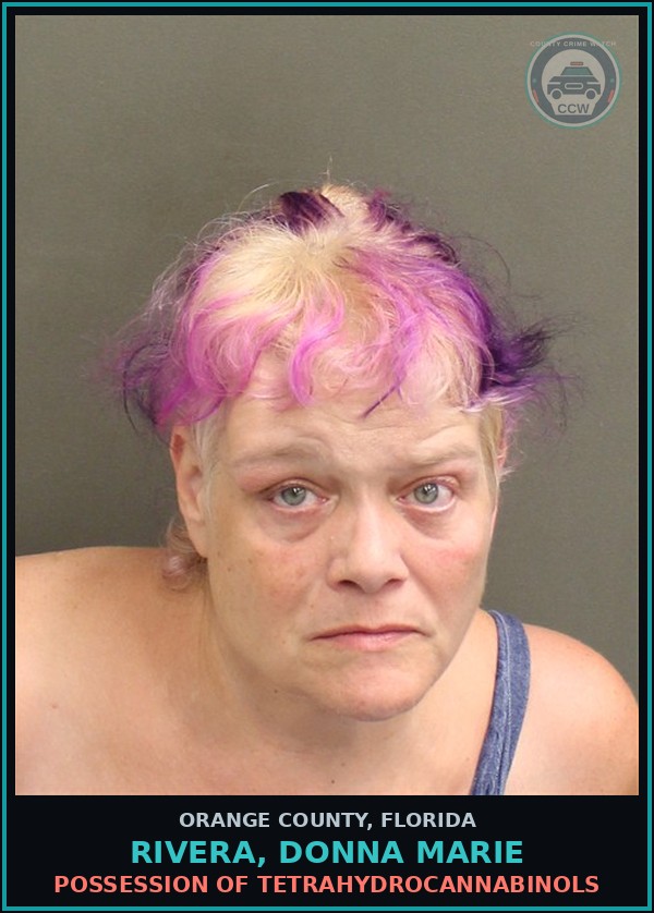 Booking mugshot of RIVERA, DONNA MARIE in Orange County