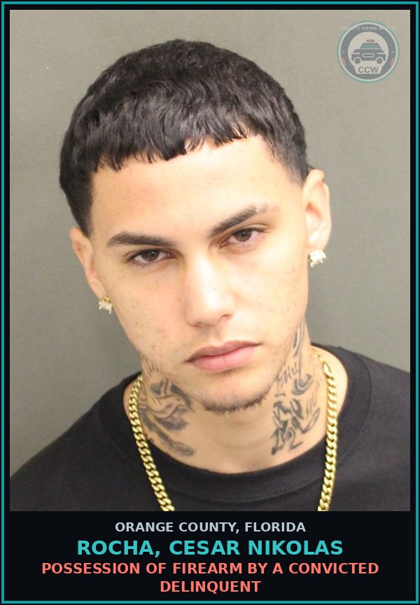 Booking mugshot of ROCHA, CESAR NIKOLAS in Orange County