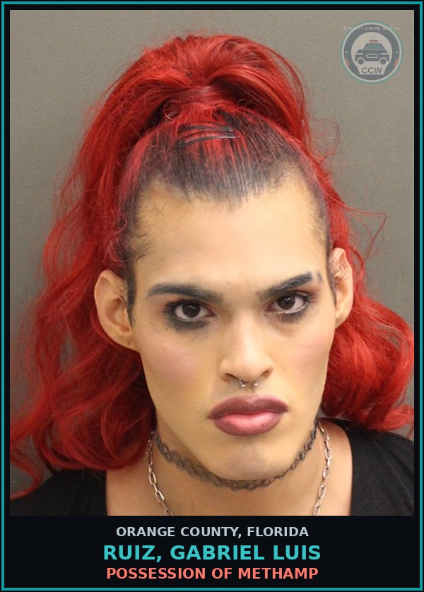 Booking mugshot of RUIZ, GABRIEL LUIS in Orange County