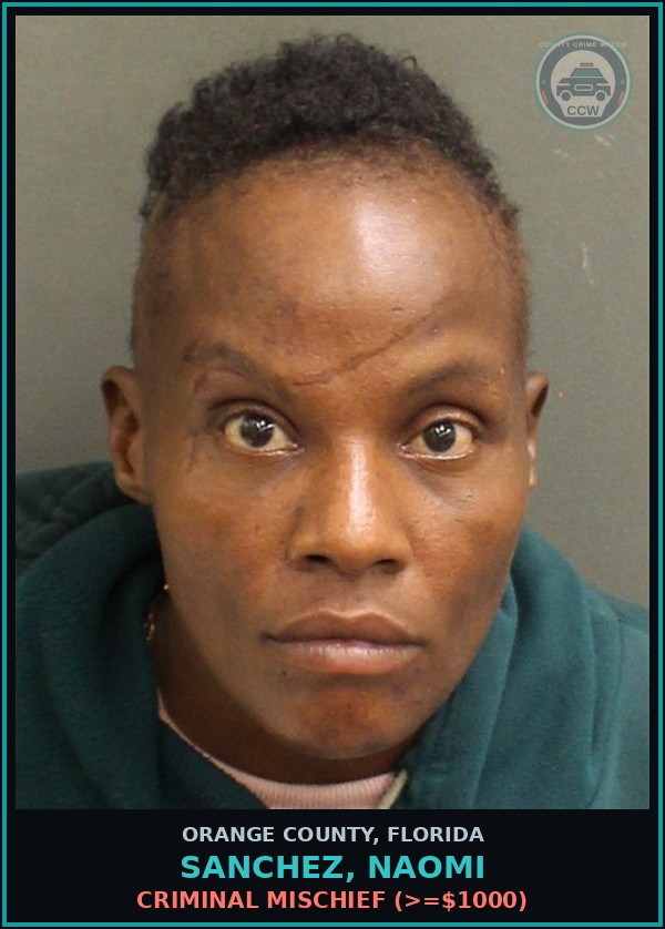 Booking mugshot of SANCHEZ, NAOMI in Orange County