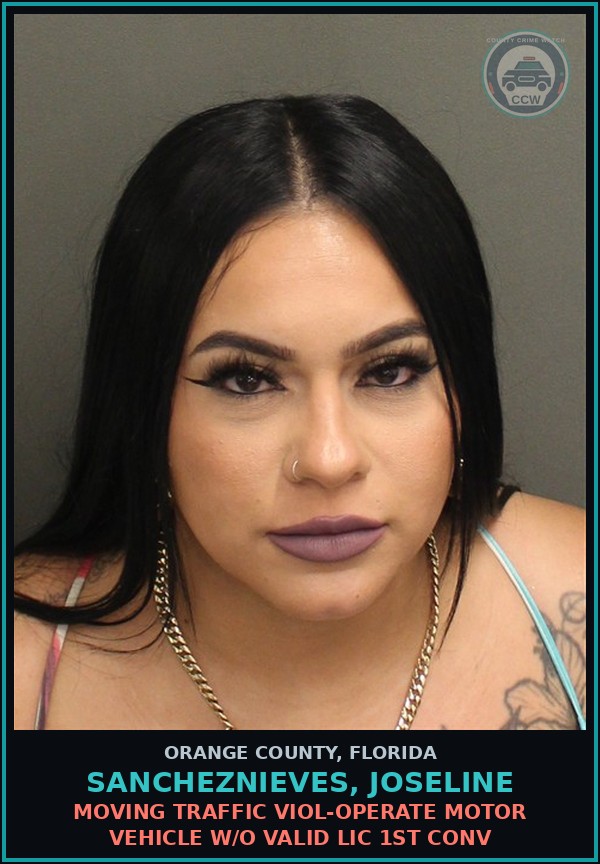 Booking mugshot of SANCHEZNIEVES, JOSELINE in Orange County