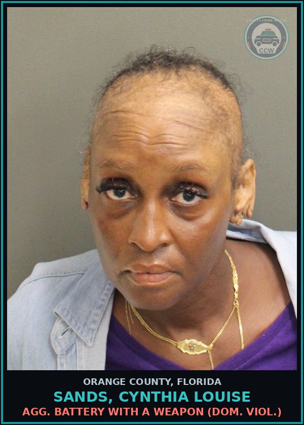 Booking mugshot of SANDS, CYNTHIA LOUISE in Orange County