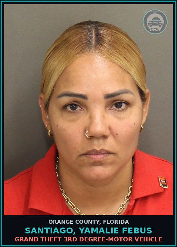 Booking mugshot of SANTIAGO, YAMALIE FEBUS in Orange County
