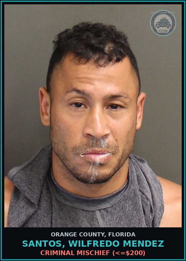 Booking mugshot of SANTOS, WILFREDO MENDEZ in Orange County