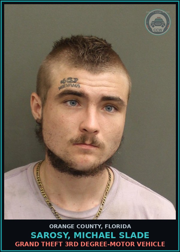 Booking mugshot of SAROSY, MICHAEL SLADE in Orange County