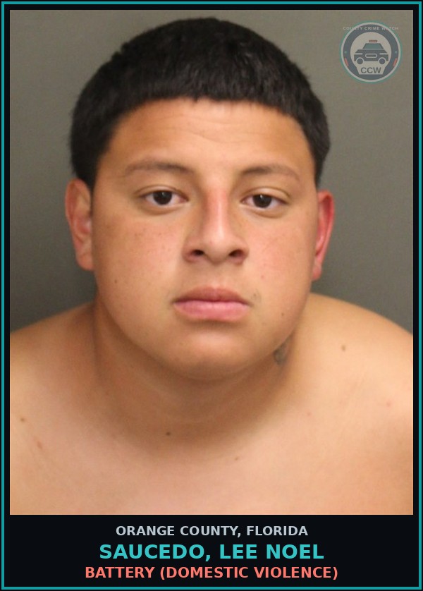 Booking mugshot of SAUCEDO, LEE NOEL in Orange County