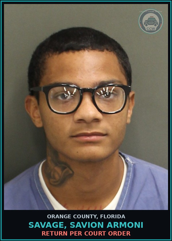 Booking mugshot of SAVAGE, SAVION ARMONI in Orange County