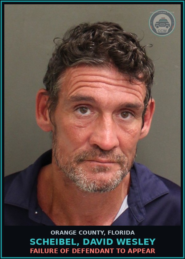 Booking mugshot of SCHEIBEL, DAVID WESLEY in Orange County