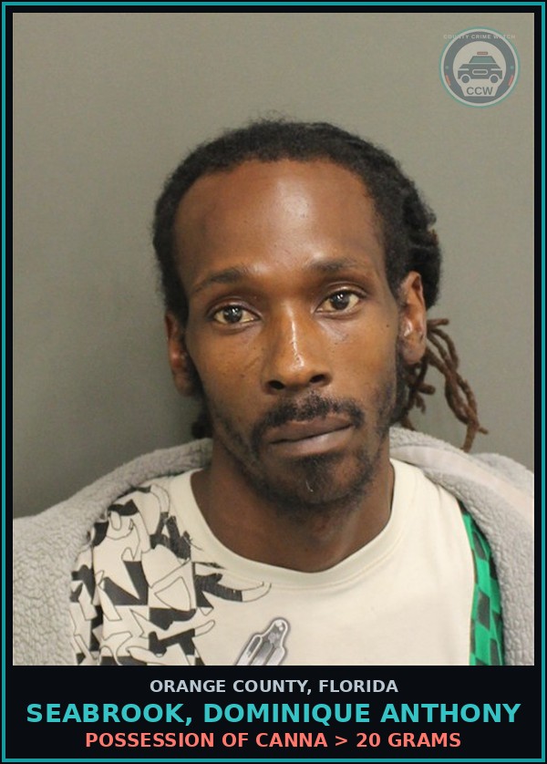 Booking mugshot of SEABROOK, DOMINIQUE ANTHONY in Orange County