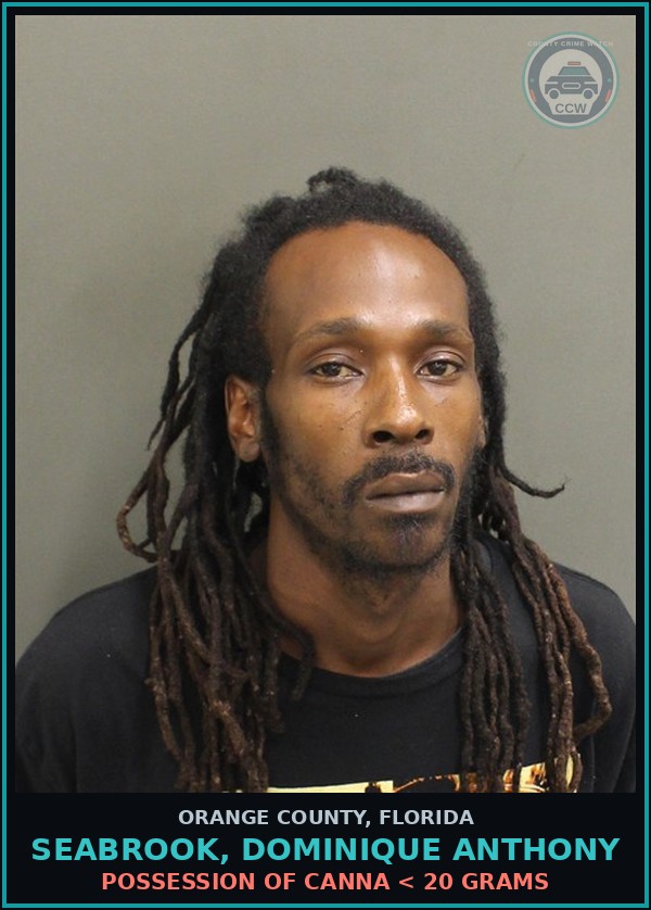 Booking mugshot of SEABROOK, DOMINIQUE ANTHONY in Orange County