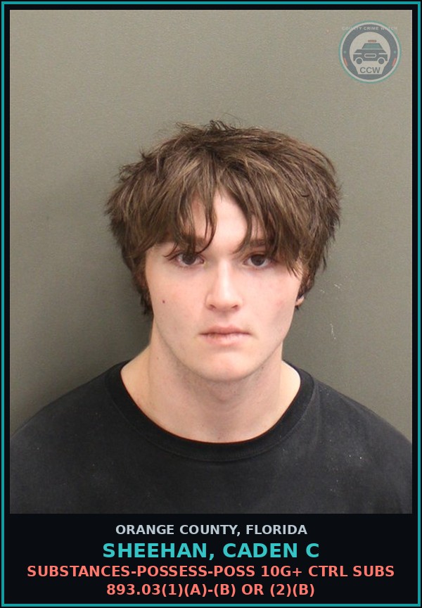 Booking mugshot of SHEEHAN, CADEN C in Orange County