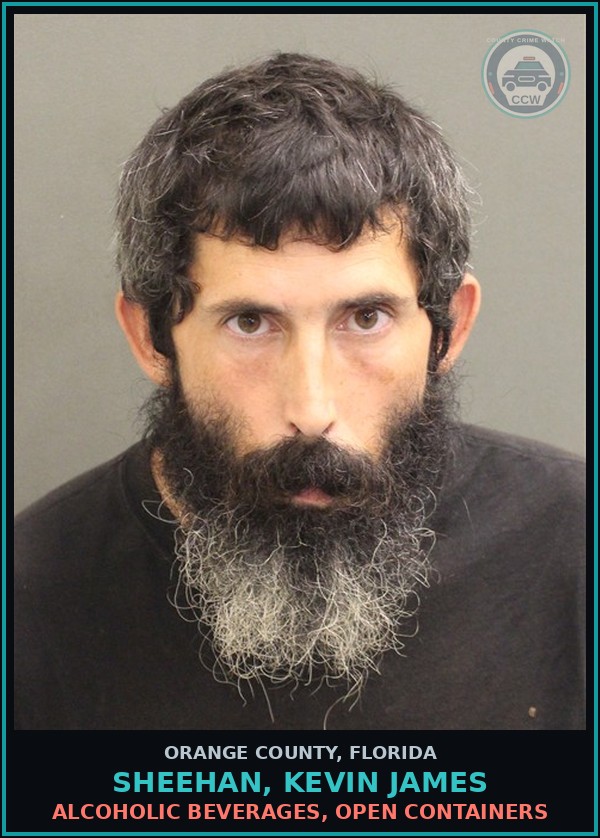 Booking mugshot of SHEEHAN, KEVIN JAMES in Orange County