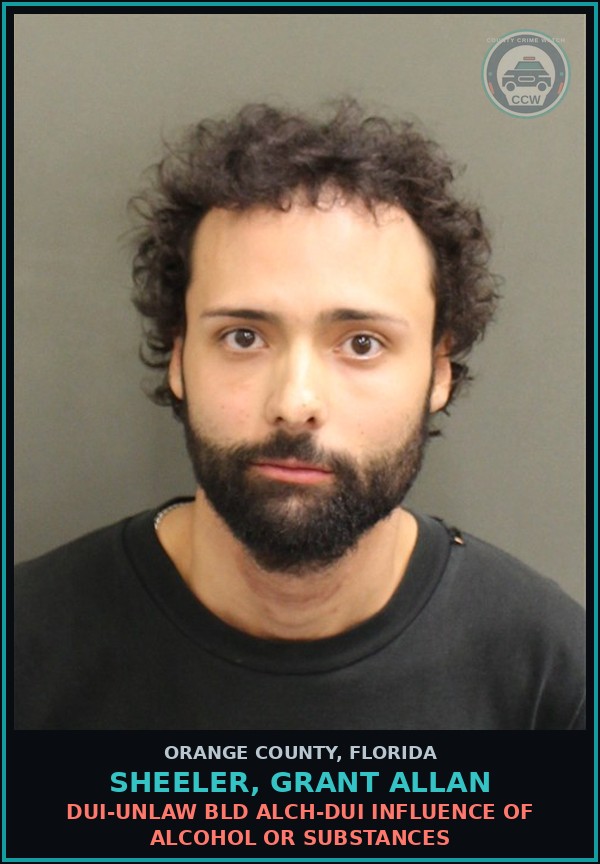 Booking mugshot of SHEELER, GRANT ALLAN in Orange County