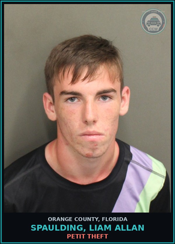 Booking mugshot of SPAULDING, LIAM ALLAN in Orange County