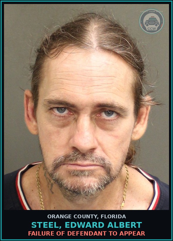 Booking mugshot of STEEL, EDWARD ALBERT in Orange County