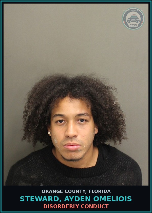Booking mugshot of STEWARD, AYDEN OMELIOIS in Orange County