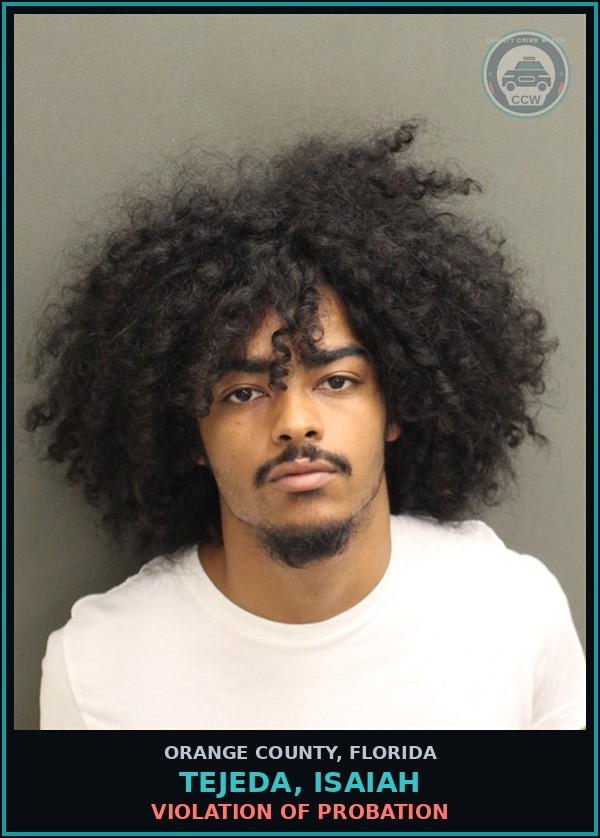 Booking mugshot of TEJEDA, ISAIAH in Orange County