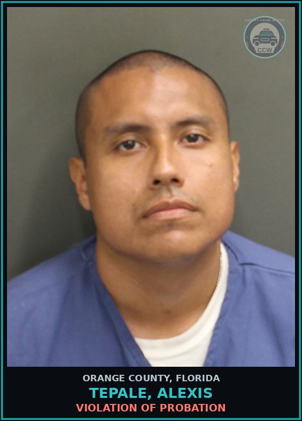 Booking mugshot of TEPALE, ALEXIS in Orange County