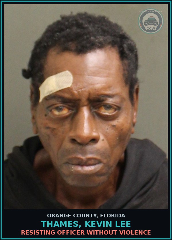 Booking mugshot of THAMES, KEVIN LEE in Orange County