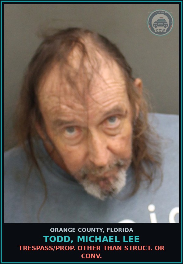 Booking mugshot of TODD, MICHAEL LEE in Orange County