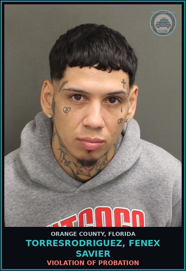 Booking mugshot of TORRESRODRIGUEZ, FENEX SAVIER in Orange County