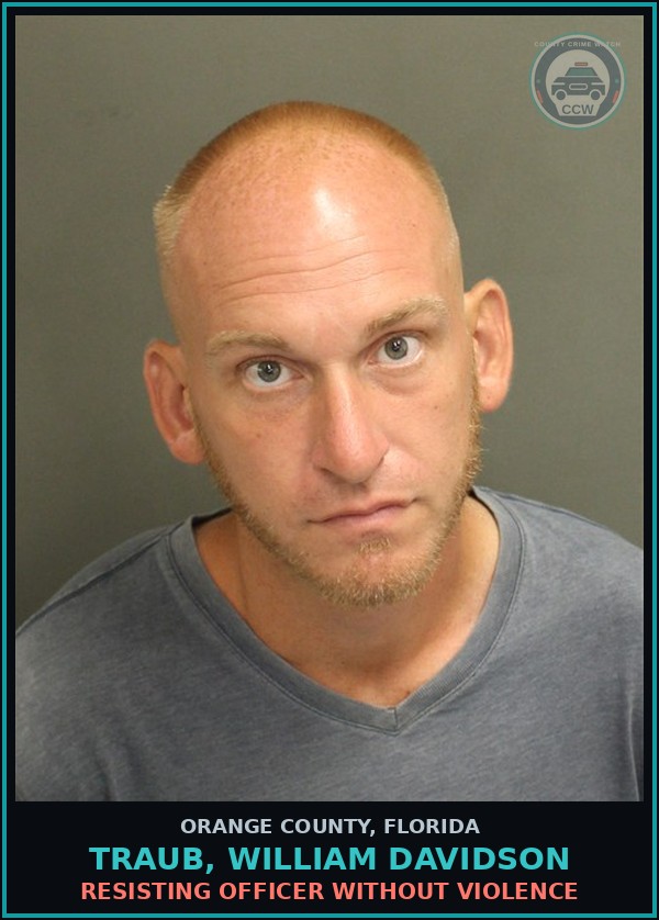 Booking mugshot of TRAUB, WILLIAM DAVIDSON in Orange County