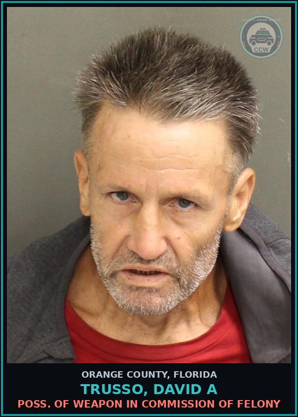 Booking mugshot of TRUSSO, DAVID A in Orange County
