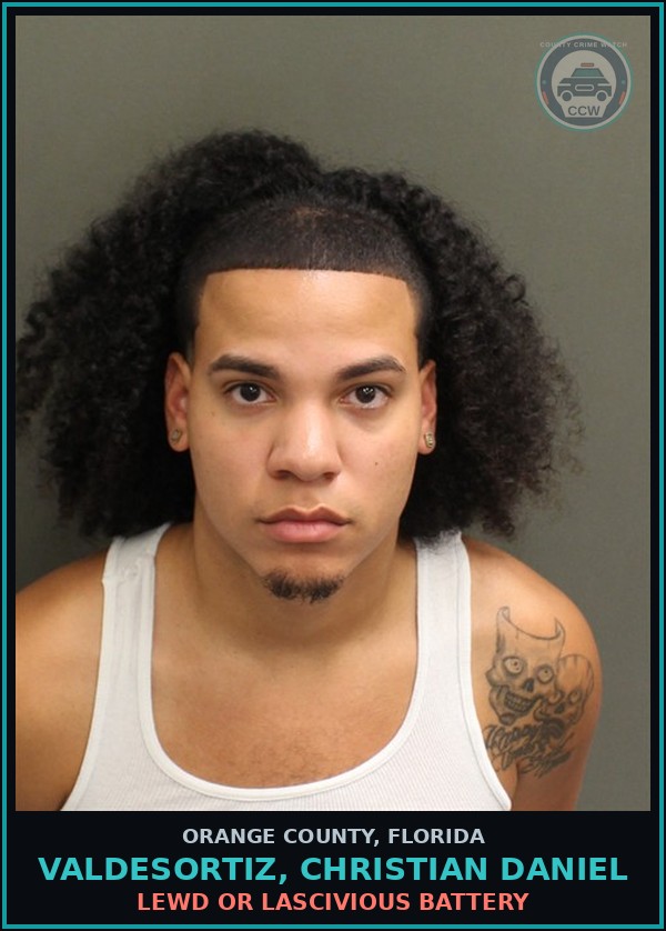 Booking mugshot of VALDESORTIZ, CHRISTIAN DANIEL in Orange County