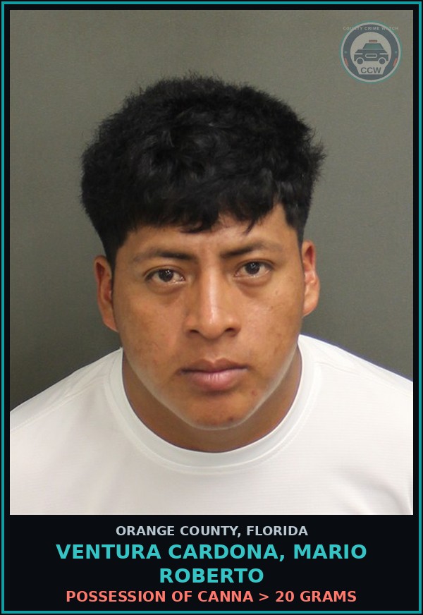 Booking mugshot of VENTURA CARDONA, MARIO ROBERTO in Orange County