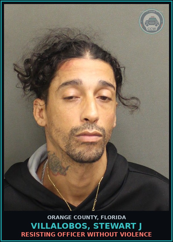 Booking mugshot of VILLALOBOS, STEWART J in Orange County