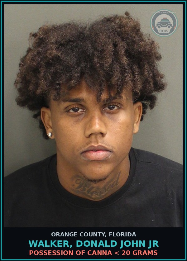 Booking mugshot of WALKER, DONALD JOHN JR in Orange County