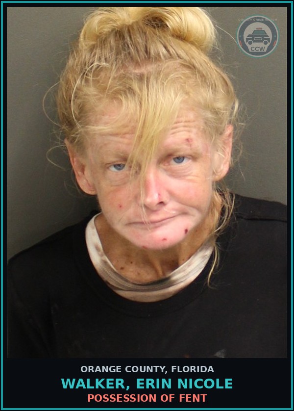 Booking mugshot of WALKER, ERIN NICOLE in Orange County