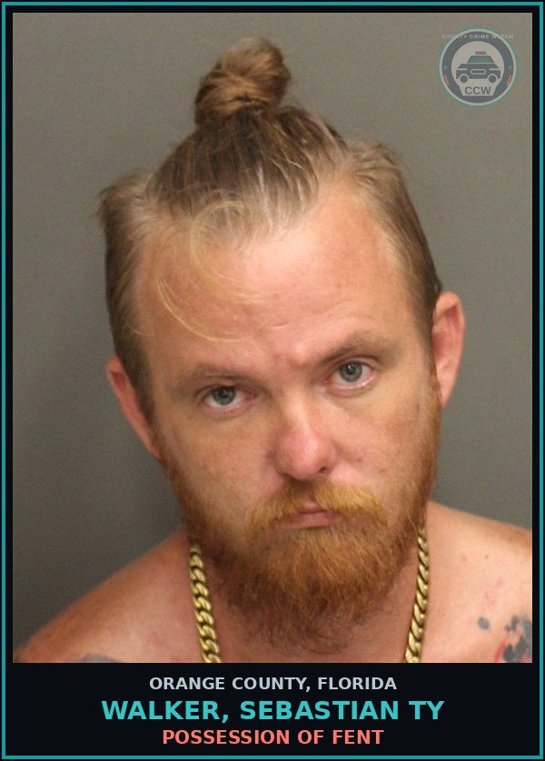 Booking mugshot of WALKER, SEBASTIAN TY in Orange County