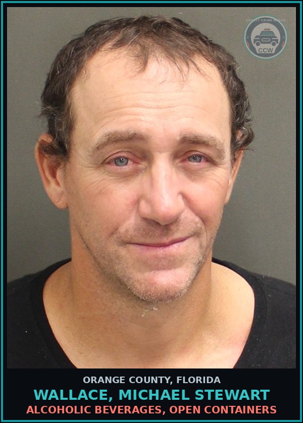 Booking mugshot of WALLACE, MICHAEL STEWART in Orange County