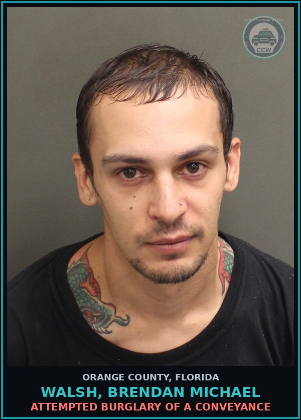 Booking mugshot of WALSH, BRENDAN MICHAEL in Orange County