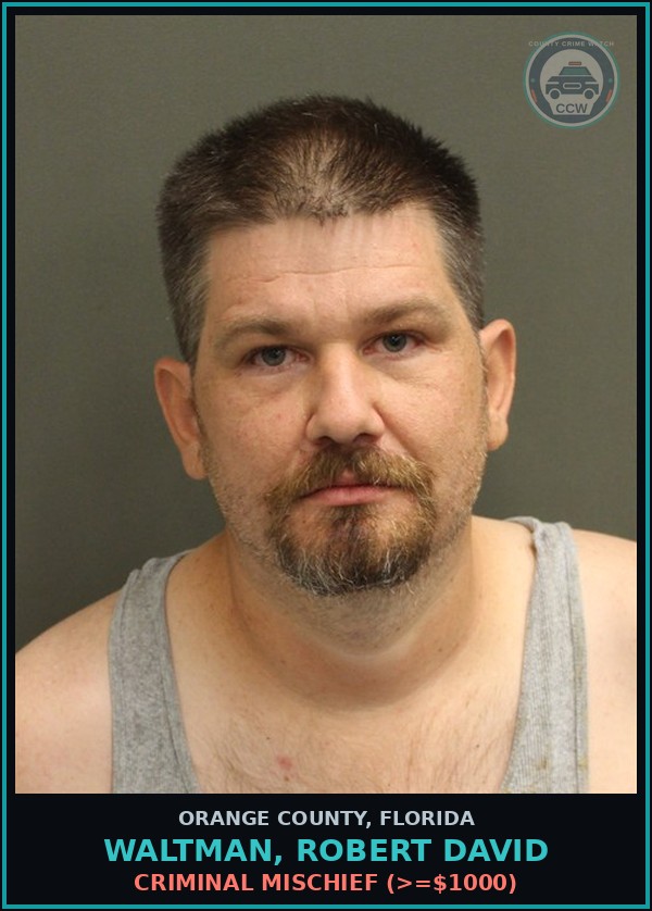 Booking mugshot of WALTMAN, ROBERT DAVID in Orange County
