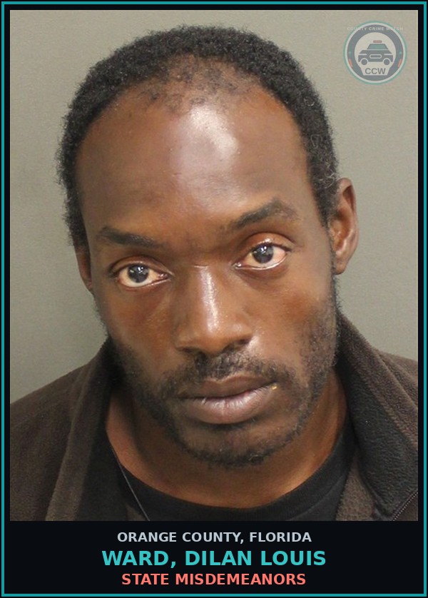 Booking mugshot of WARD, DILAN LOUIS in Orange County