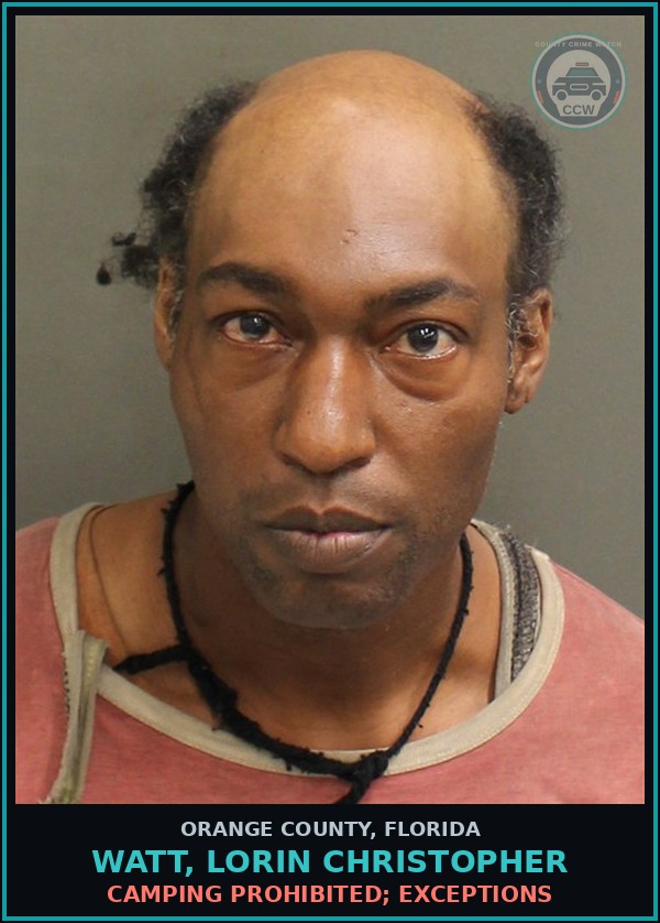 Booking mugshot of WATT, LORIN CHRISTOPHER in Orange County