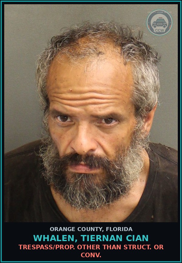 Booking mugshot of WHALEN, TIERNAN CIAN in Orange County