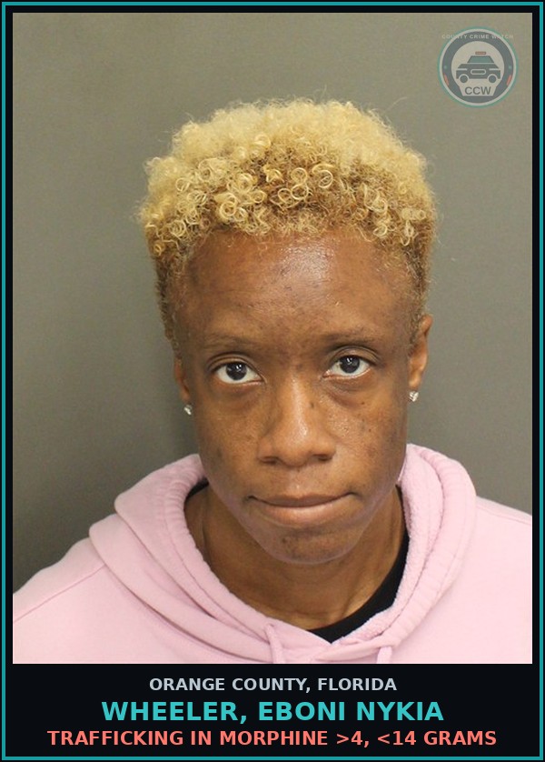 Booking mugshot of WHEELER, EBONI NYKIA in Orange County