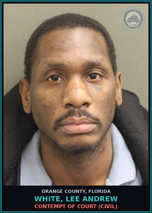 Booking mugshot of WHITE, LEE ANDREW in Orange County
