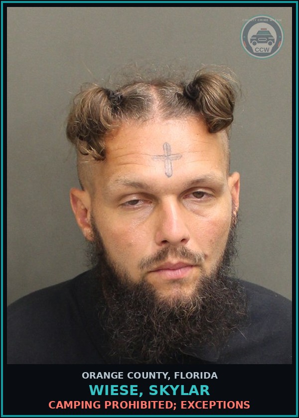 Booking mugshot of WIESE, SKYLAR in Orange County