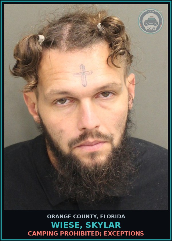 Booking mugshot of WIESE, SKYLAR in Orange County