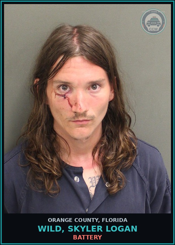 Booking mugshot of WILD, SKYLER LOGAN in Orange County