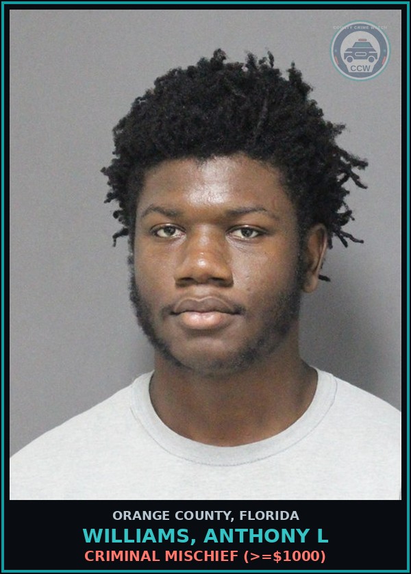 Booking mugshot of WILLIAMS, ANTHONY L in Orange County