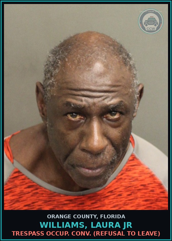 Booking mugshot of WILLIAMS, LAURA JR in Orange County
